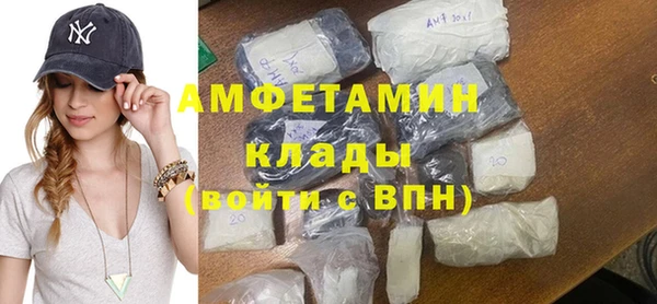 гидра Елизово