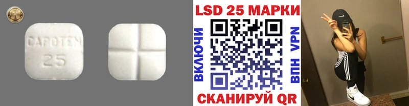 shop клад  купить закладку  Валдай  LSD-25 экстази ecstasy 